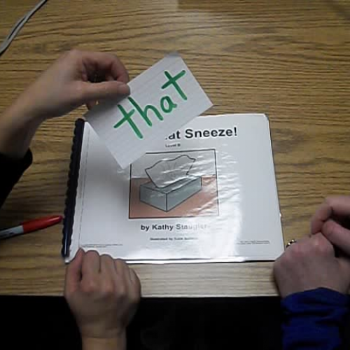 Reading-Catch That Sneeze