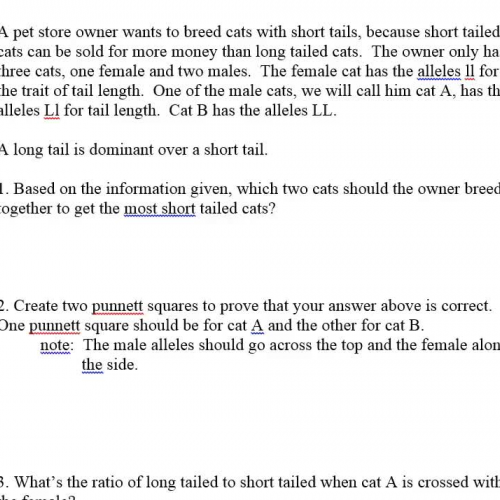 Punnett Square practice problems 1