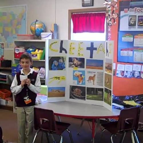 banks discovery quest