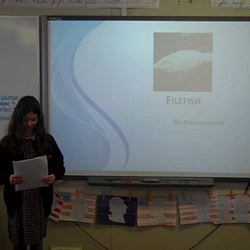 la sorsa discovery quest