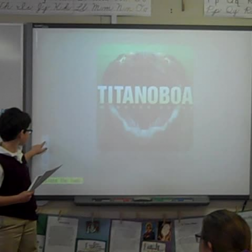 Stumpf discovery quest