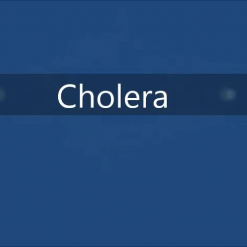 Public Service Announcement - Cholera