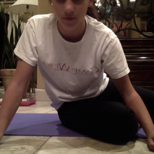 1.03 Fitness Assessment Video Submission