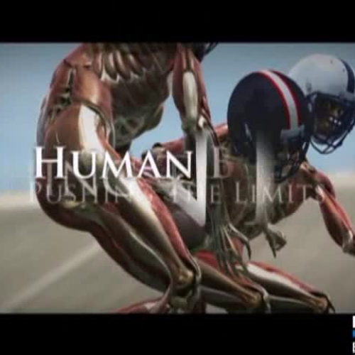 Skeletal/Muscular Review