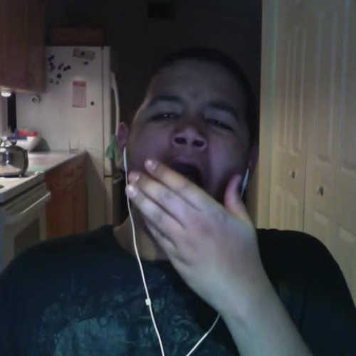 Spanish Describe Your Family 