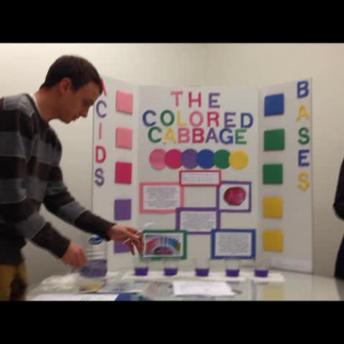 Science Circus Project