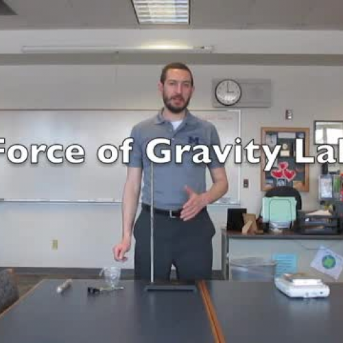 Force of Gravity Lab