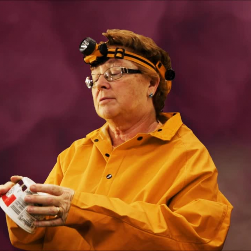 Anthropology Apology: Not Your Average Fossil - Green Ninja Show