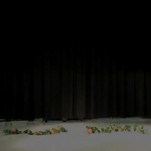 Rachel Freeman Broadcast