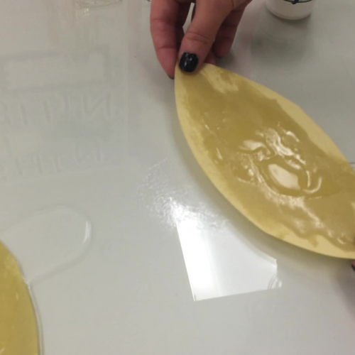 Science Circus Project- Shirah and Lindsey