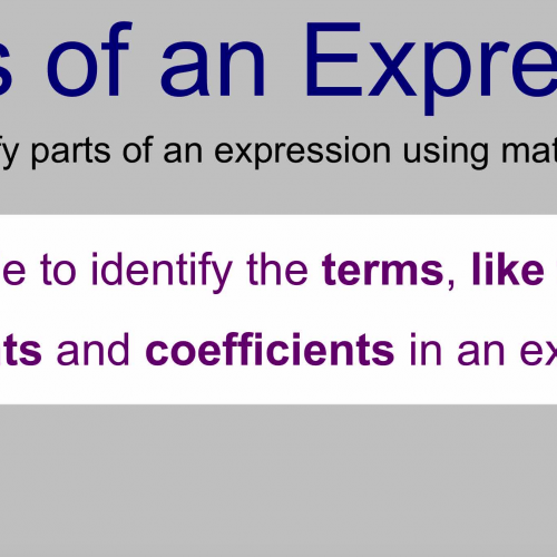 Parts of an Expression Lesson