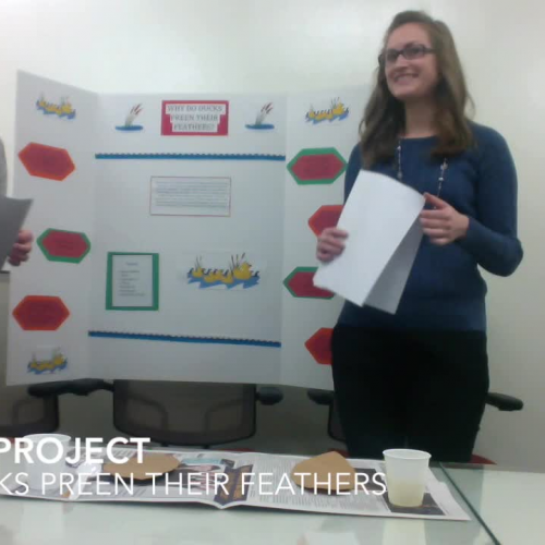 Kelsey and Gabby Circus Project