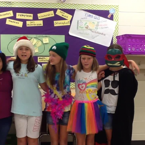 Clark Creek Cell Rap