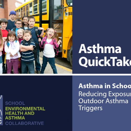 Asthma QuickTake — Reducing Exposures to Outdoor Asthma Triggers​