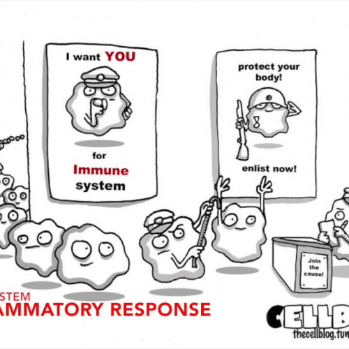 Kayla's Biology Vocabulary Digital Story for LAE5337 UCF Olan