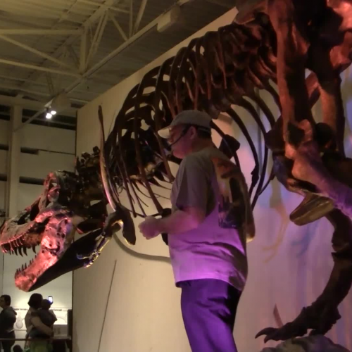 A T. rex Named Sue Opening Day