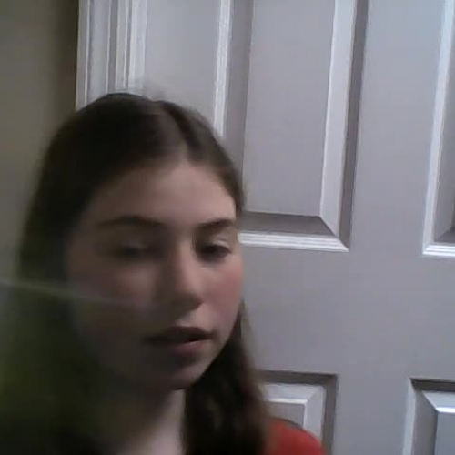 Spanish I Module 3 Lesson 2 Describing the Family - Visual Presentation