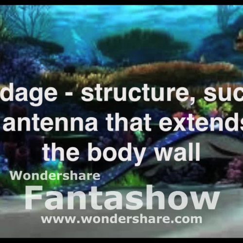 Vocabulary Digital Story