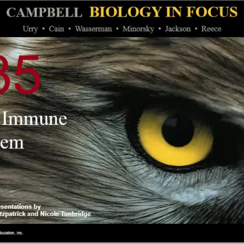 Ch 35 Immune System