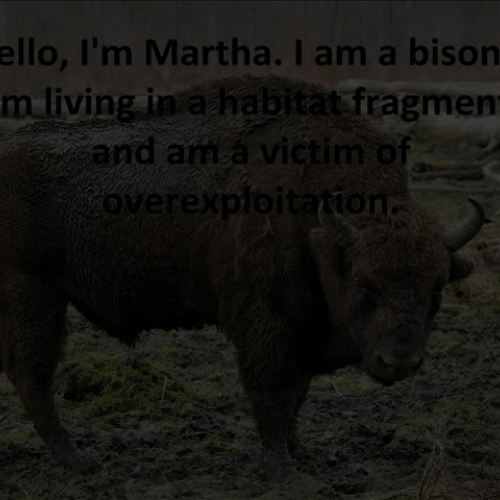 Biodiversity Vocabulary Digital Story