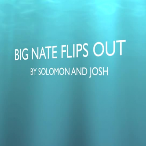 Big Nate Flips Out