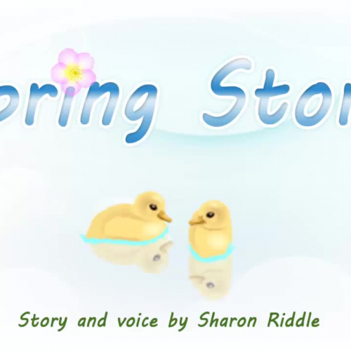 Spring Story