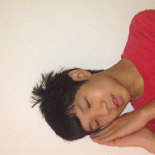 03.02 Describe the Family Visual Presentation