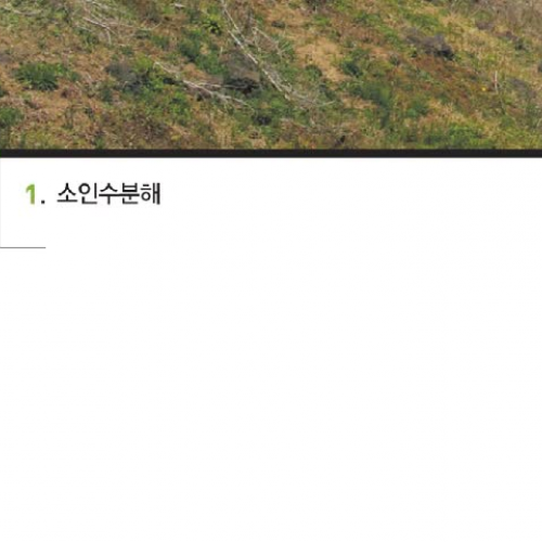 2015년 1학년 1학기 2주차 1차시