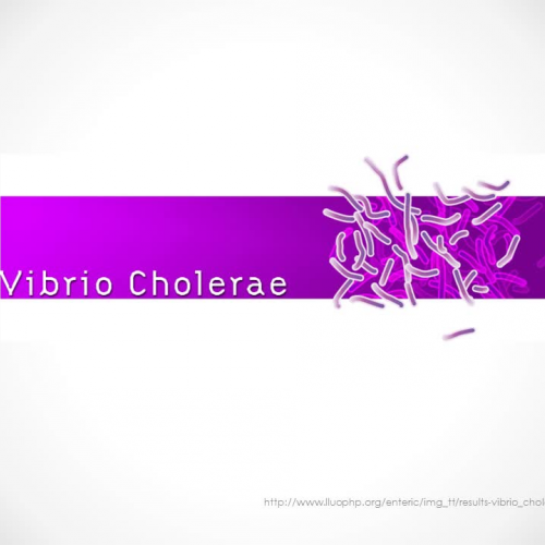 Cholera