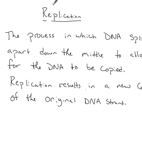 DNA Replication 