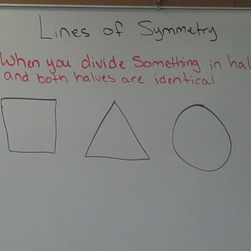 Fri. 3-13 Symmetry