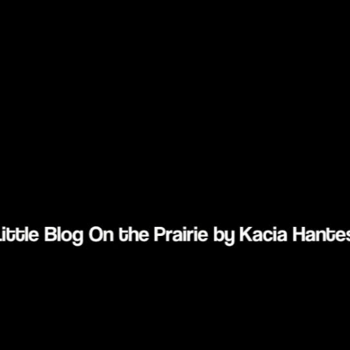 Little Blog Advertisement