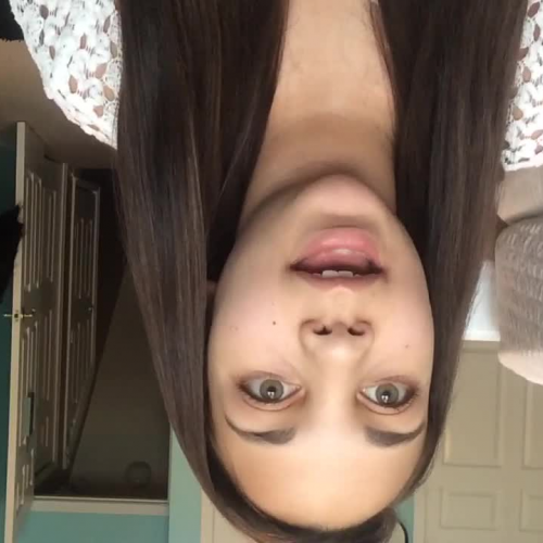 03.02 Describe the Family Visual Presentation