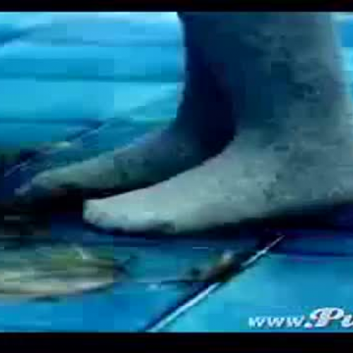 impressive cancer clip