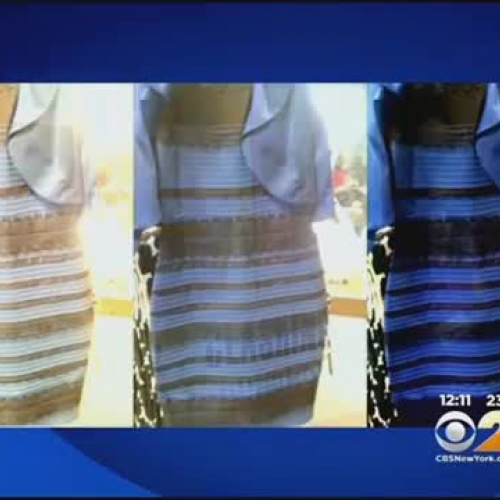 Is the dress blue or black or white and gold?