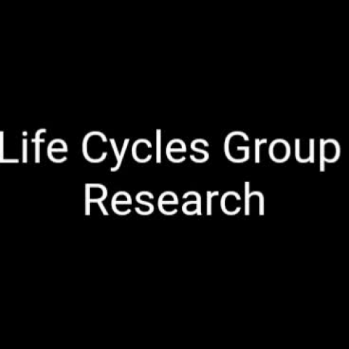 Life Cycle Research