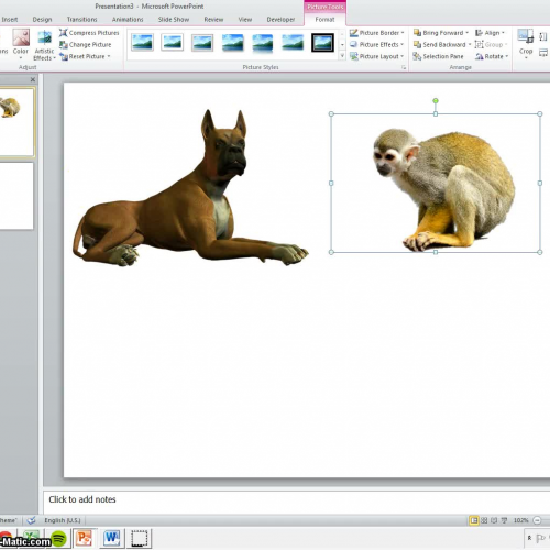 Adding a Design Theme to PowerPoint