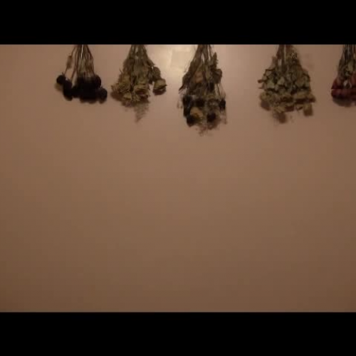 Sign Language to Video