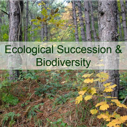 Ecosystem Objective #2