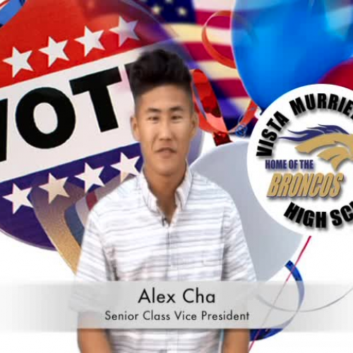CLASS OF 2016 VICE PRESIDENT CANDIDATE - Alex Cha