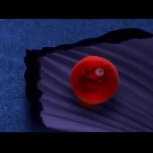 Cape Verde Islands Video Clip