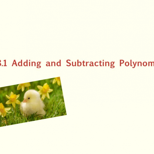 8.1 Adding and Subtracting Polynomials