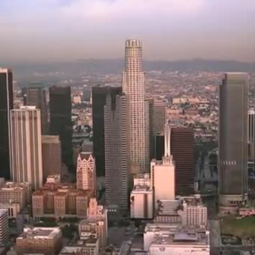 The Majestic Plastic Bag