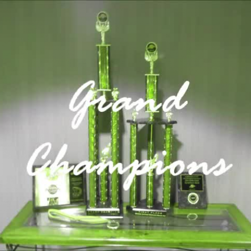 GMS Band Grand Champions