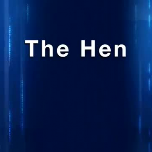 Eggs 101 - The Hen