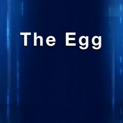 Eggs 101 - The Egg
