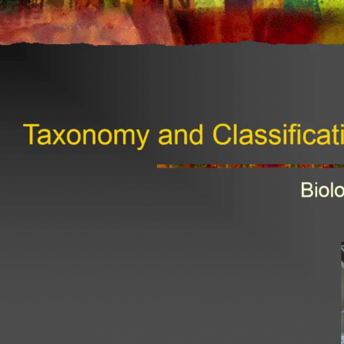Taxonomy