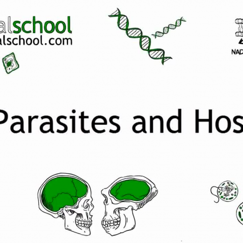 Parasite Host Relationship