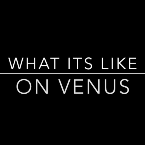 Stelmarski - Venus