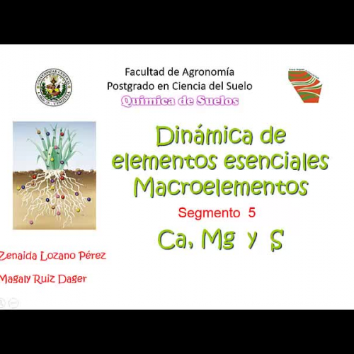 Macronutrientes secundarios